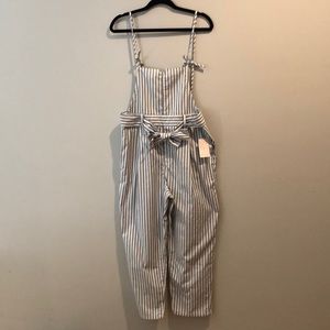 Free People Wide Leg Overall Jumpsuit